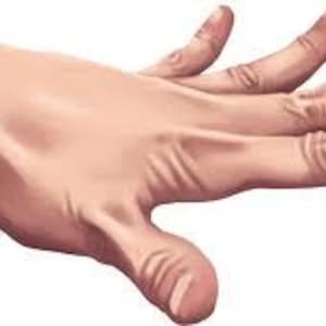 May include: Illustration of a right hand with a light skin tone, fingers slightly curved and spread apart. The hand is in a relaxed position, with visible details of the skin texture and subtle shading.