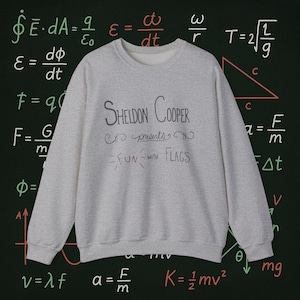 Puede incluir: Una sudadera gris claro con el texto "Sheldon Cooper presents Fun with Flags" en negro. El fondo es una pizarra verde oscuro con ecuaciones y fórmulas matemáticas escritas en blanco.