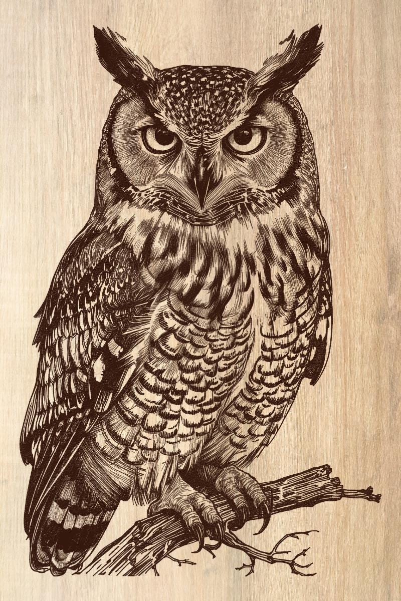 Owl Laser Engraved File, Owl Wood Engraving PNG, Laser Engraving for LightBurn xTool Glowforge, Inst