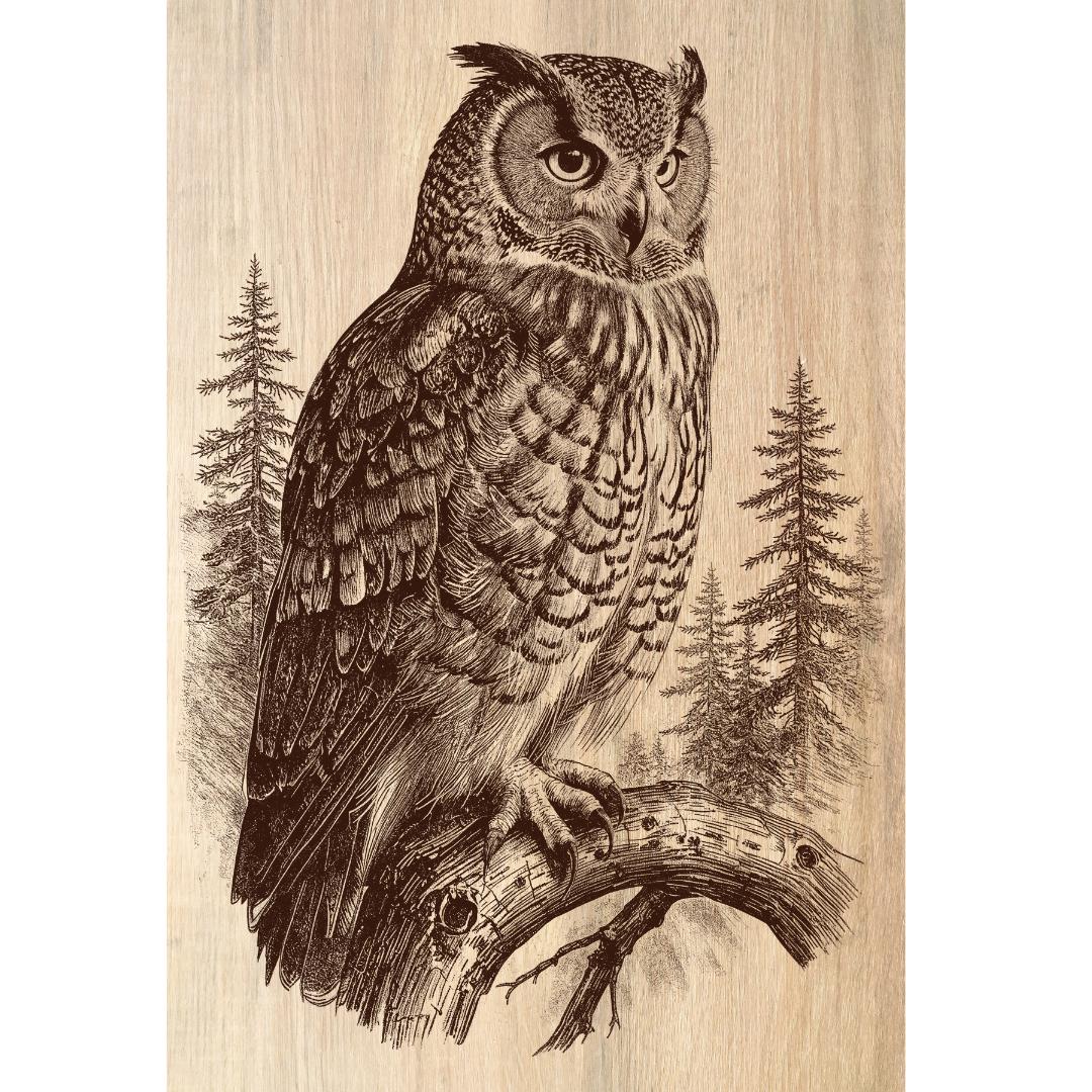 Horned Owl Laser Engraving File | Rustic Wildlife Art (PNG Digital Download)