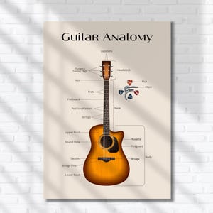 Può includere: Un poster educativo beige intitolato Guitar Anatomy che presenta un'illustrazione centrale di una chitarra acustica con etichette che indicano parti come la paletta, le meccaniche, il capotasto, i tasti, il manico, il corpo, il ponte e la buca.