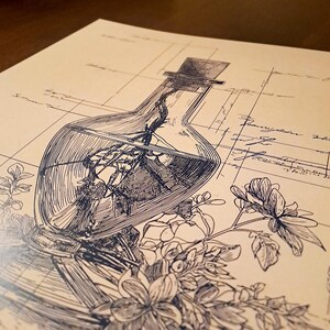 May include: An illustration of a glass bottle with a cork stopper, containing a detailed drawing of a structure. The bottle is surrounded by floral elements and sits on a background with architectural grid lines and script.