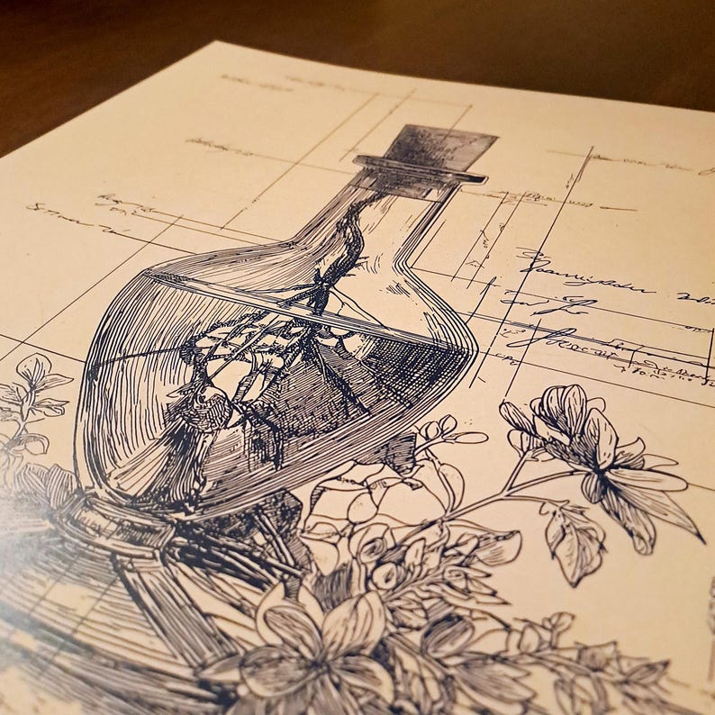 May include: An illustration of a glass bottle with a cork stopper, containing a detailed drawing of a structure. The bottle is surrounded by floral elements and sits on a background with architectural grid lines and script.