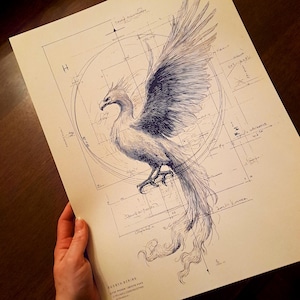 May include: A detailed pen and ink illustration of a phoenix with outstretched wings, set against a backdrop of architectural blueprints. The artwork features intricate linework and a vintage aesthetic, with the bird's feathers and tail rendered in fine detail.