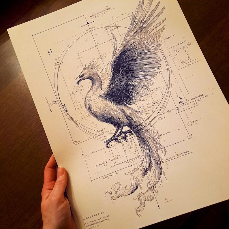 May include: A detailed pen and ink illustration of a phoenix with outstretched wings, set against a backdrop of architectural blueprints. The artwork features intricate linework and a vintage aesthetic, with the bird's feathers and tail rendered in fine detail.