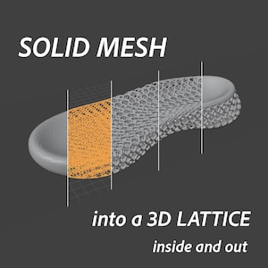 May include: A gray shoe insole shown in a cross-section view, transitioning from a solid mesh surface to an orange 3D lattice structure. The text reads SOLID MESH into a 3D LATTICE inside and out, illustrating the internal design of the footwear component.