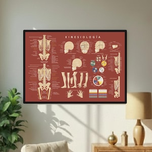 Peut inclure: Affiche encadrée avec le mot "KINESIOLOGIA" en haut. L'affiche présente des illustrations anatomiques détaillées du système squelettique humain, avec des os et des articulations, en beige sur fond rouge.