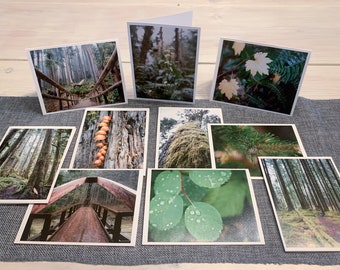 Pacific Northwest Fall Hike - photo blank note cards, white, heavy card stock, set of 10, with envelopes