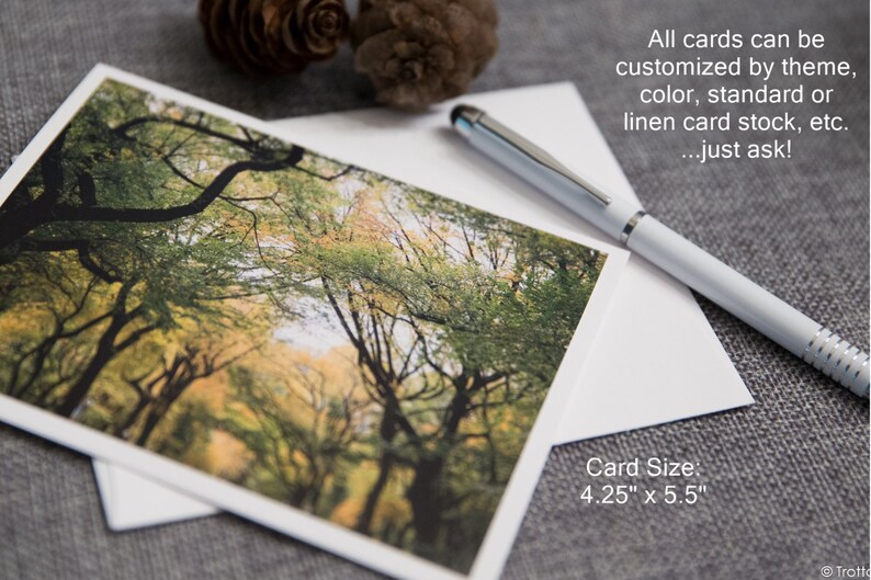 Antique Cars Blank Photo Note Cards