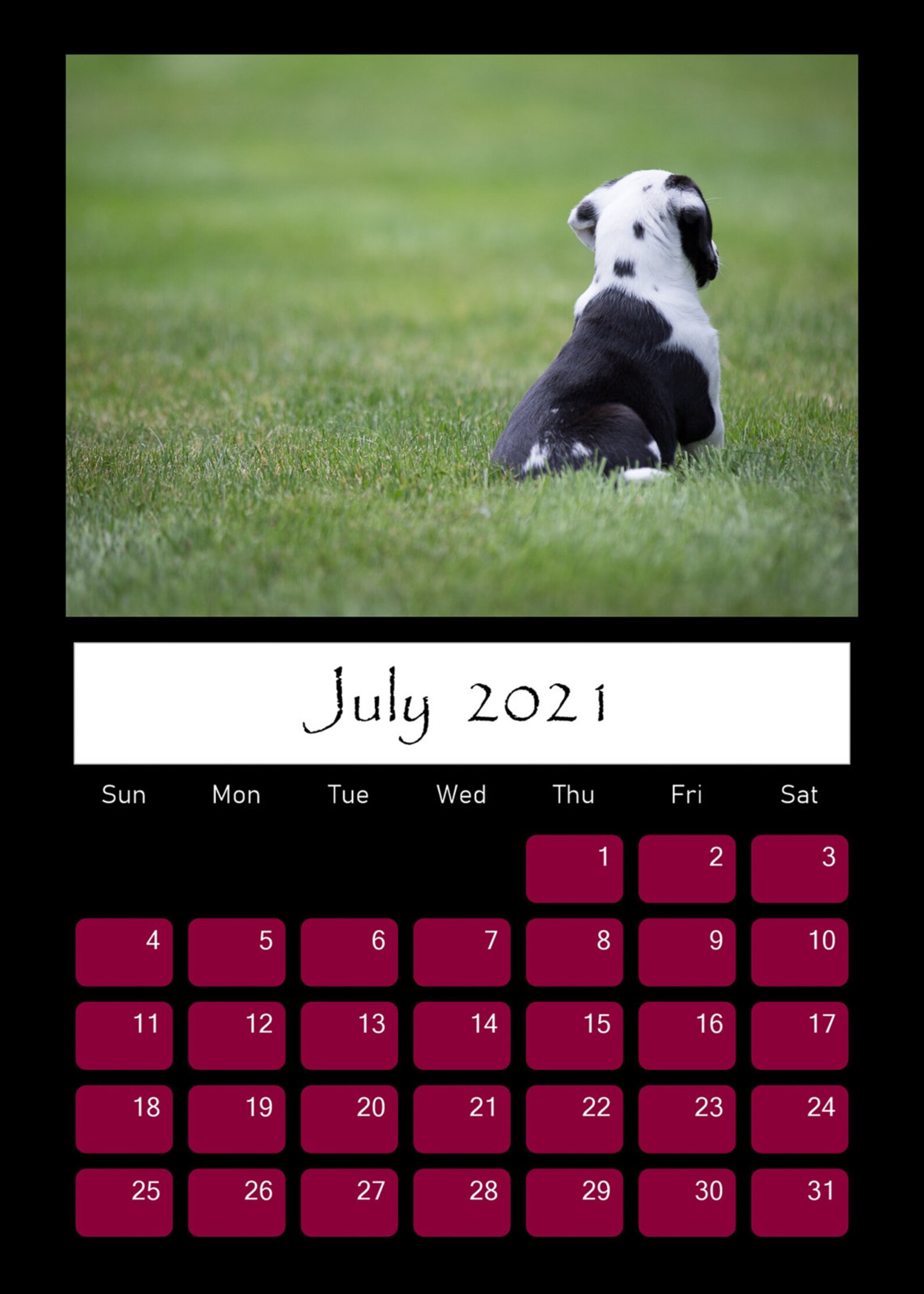 2021 For the Love of Dogs Calendar 5 x 7 Photo Prints with Etsy