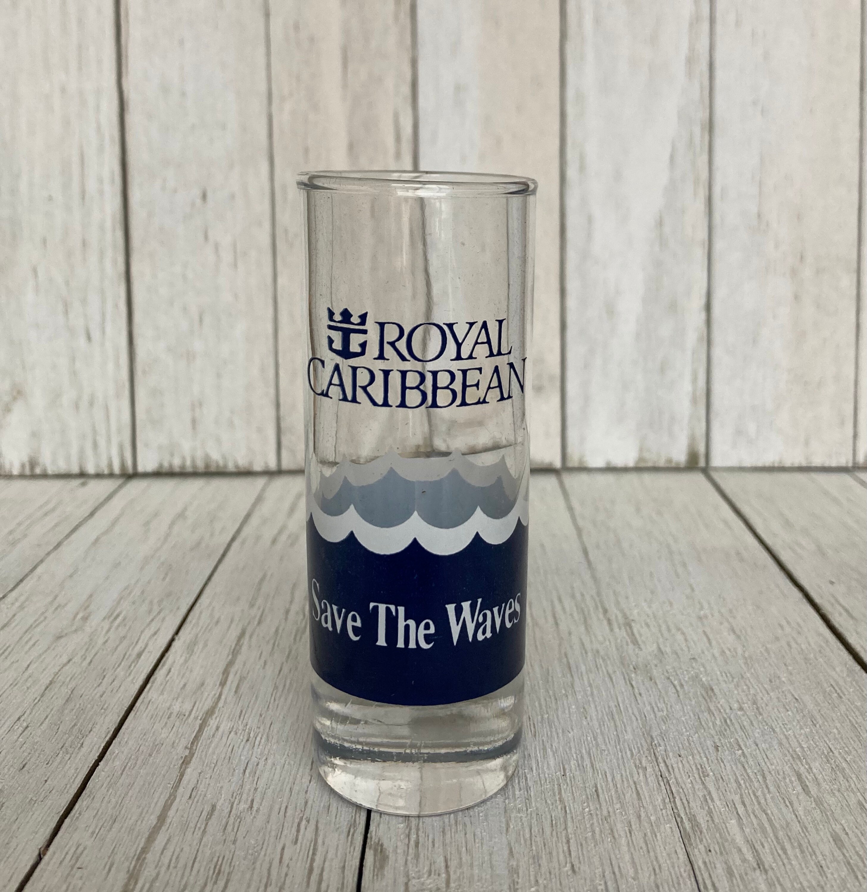 Royal Caribbean Cruise Save The Waves Aluminum Travel Water Bottle with  Clip