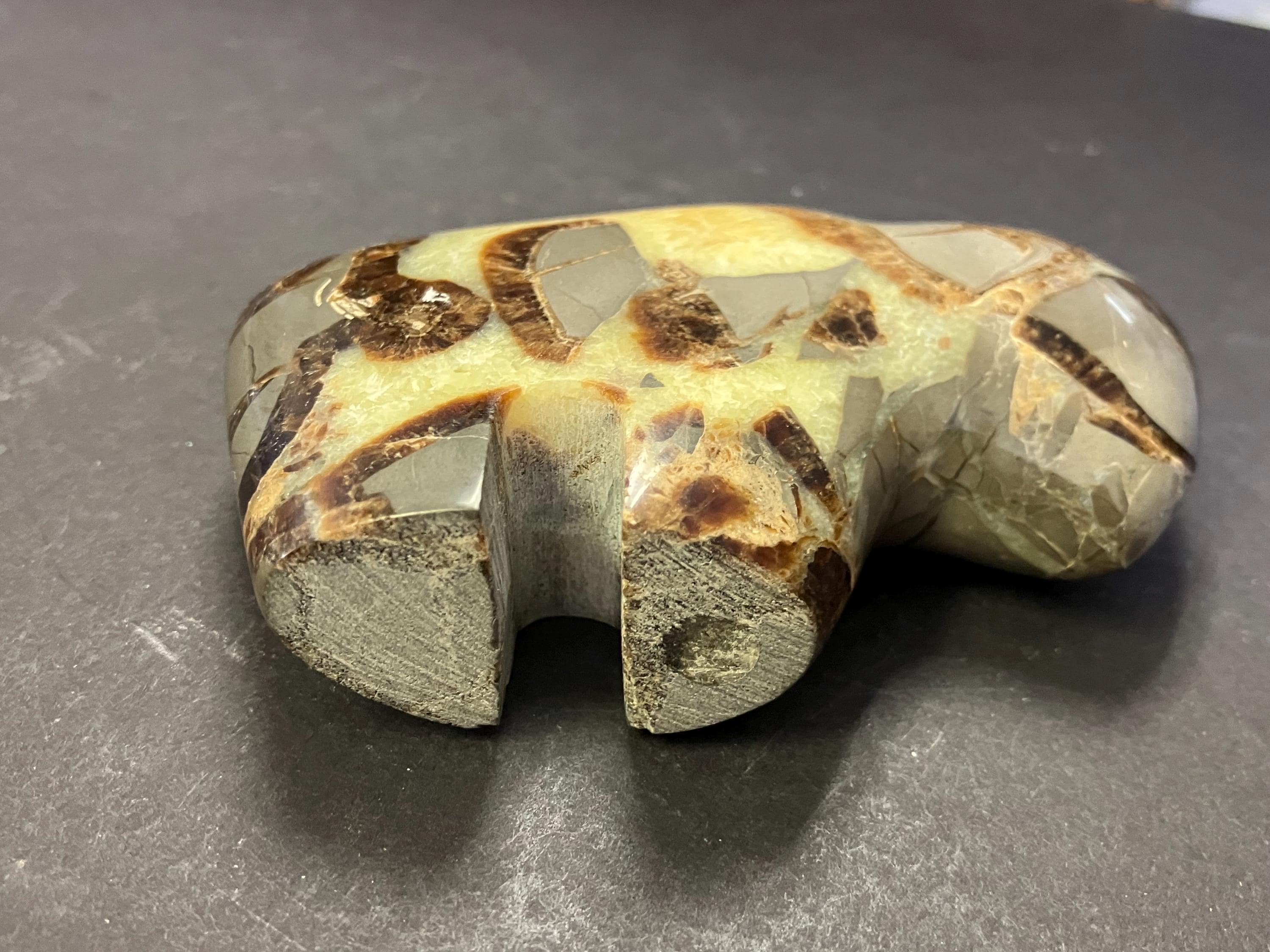 マダガスカル産セプタリアン(亀甲石)⁄Septarian