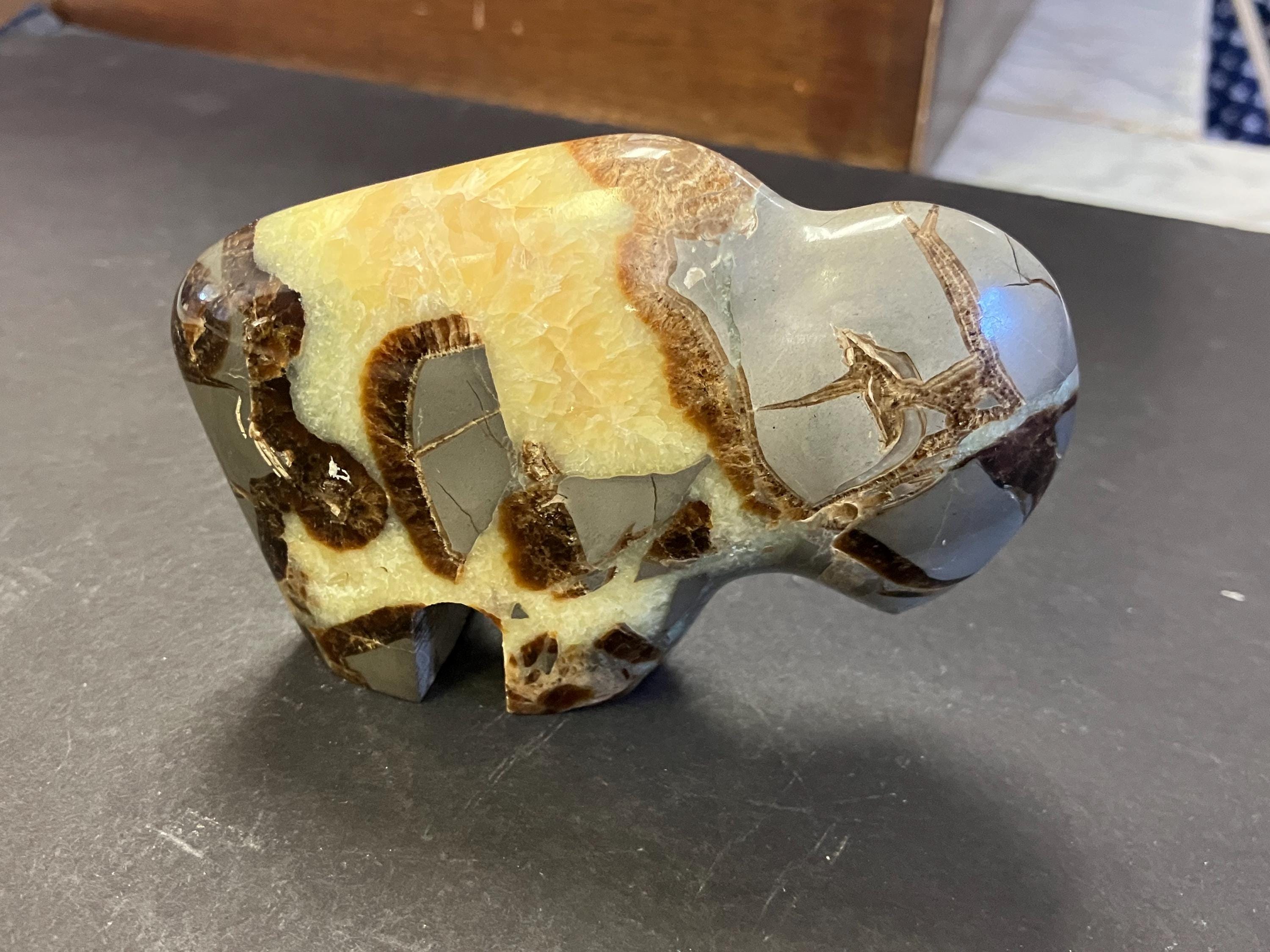 マダガスカル産セプタリアン(亀甲石)⁄Septarian