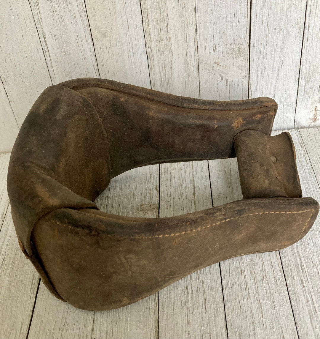 L'ostéopathe équin pour le bien-être du cheval