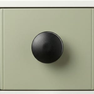 May include: Close-up of a sage green drawer front with a matte black round knob. The drawer is part of a white cabinet. The knob is centered on the drawer, providing a simple, modern aesthetic.