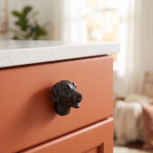 May include: A matte black cabinet knob shaped like a dog head with detailed facial features, including floppy ears and an open mouth, mounted on a flat, solid orange-colored wooden drawer front with a light-colored countertop above it.