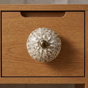 May include: Close-up of a wooden drawer with a decorative knob. The knob is round, with a speckled gray and white pattern and a brass-colored center. The drawer is made of light brown wood.