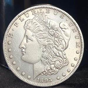1879 morgan dollar - Etsy 日本