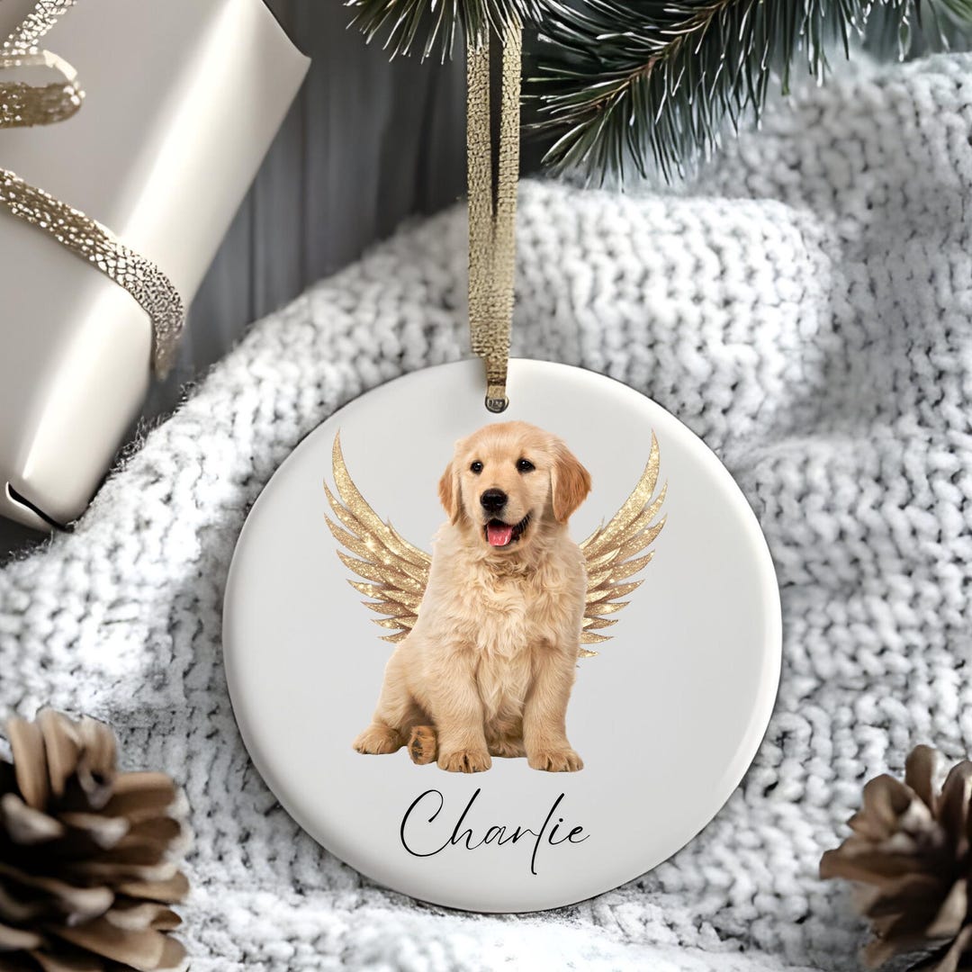 Personalized Pet Memorial Ornament - Angel Wings Dog Cat Loss Sympathy ...