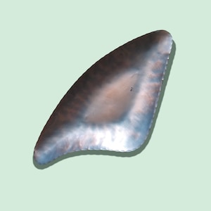 May include: A silver-colored metal serving tray with a unique, slightly curved, triangular shape. The tray has a smooth, polished surface and a slightly raised edge.