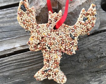 Birdseed Etsy