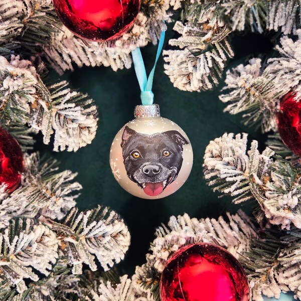 Custom hand-painted pet portrait ornament, personalized handmade Christmas gift made to order from picture. Dog, cat, horse, reptile, bird