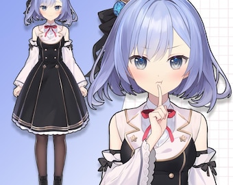 Premade Live2D Vtuber-model: klaar voor gebruik, compatibel met VTubeStudio