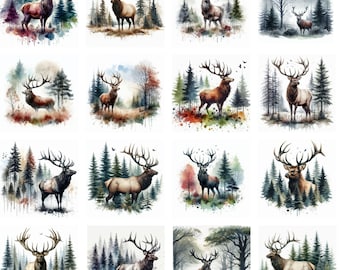 Herten bos png-bundel, eland png-bestanden voor de Cricut, bosrijke dieren png, jacht clipart, rustieke herten silhouet png, dieren in het wild natuur digitaal