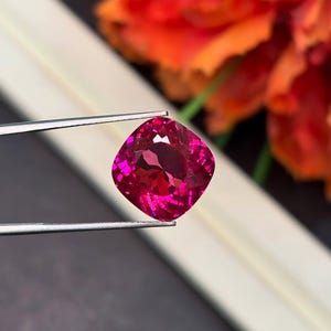 May include: A vibrant, cushion-cut, fuchsia gemstone is held by silver tweezers. The gem's facets reflect light, showcasing its brilliance. The background features blurred orange and red flowers, creating a striking contrast. This image highlights the beauty of a precious stone.
