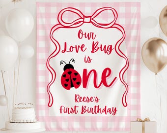 Our Love Bug is ONE Banner, Ladybug 1st Birthday Backdrop, Love Bug Birthday Party Decorations, Little Lovebug First Birthday Sign