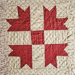 May include: A quilted textile featuring a central star block pattern with red fabric printed with small black dots alternating with cream fabric featuring a brown diagonal grid. The border consists of a floral print on a cream background.