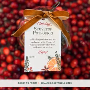 Holiday Stovetop Potpourri Gift Tag, Simmer Pot Printable (PDF)