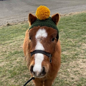 Miniature Horse Pom Pom Hat-Favorite Team Edition