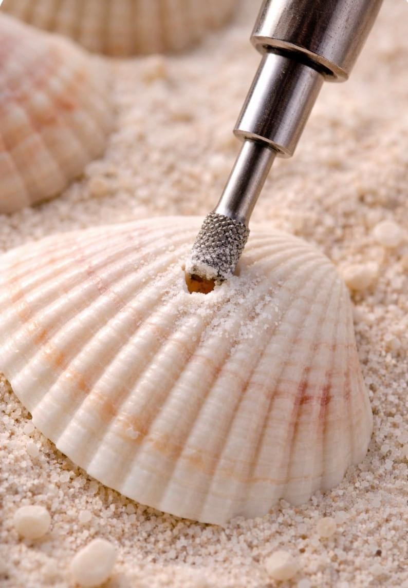 Use diamond drill bits and your Dremel tool to drill sea glass sea shells and make jewelry.
