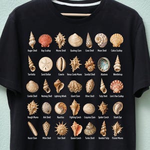May include: Black t-shirt featuring a detailed illustration of various seashells, each labeled with its common name. The design includes shells like the Auger Shell, Bay Scallop, and Murex Shell, creating a comprehensive guide to marine life.