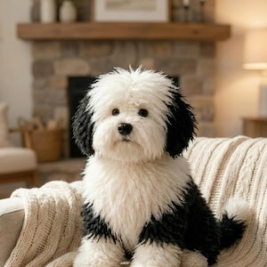 Puede incluir: Un perro mediano y esponjoso con pelaje blanco y negro está sentado sobre una manta de punto color crema. El perro tiene orejas y manchas negras en el cuerpo, con la cara y el pecho blancos. El perro mira directamente a la cámara.