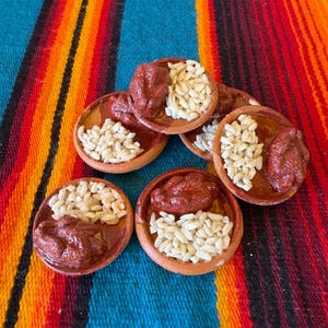May include: Five small, round, terracotta-colored plates, each containing a portion of white rice and a single, textured, reddish-brown piece of food. The plates are arranged in a cluster, showcasing the contrast between the white rice and the dark food.