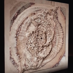 Op de afbeelding: Een ingelijst abstract kunstwerk met een cirkelvormig ontwerp in tinten bruin en wit. Het midden van het ontwerp is een verhoogd, getextureerd gebied met een ruwe, organische uitstraling.