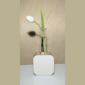 Cuttings Vase Streamline Original