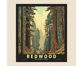 Redwood National Park California Art Poster