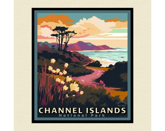 Channel Islands National Park California Art Poster