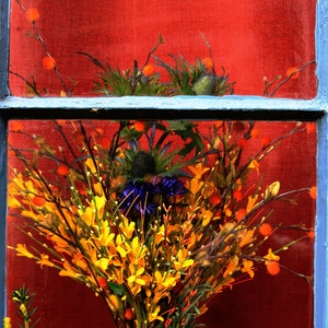 Im Fenster