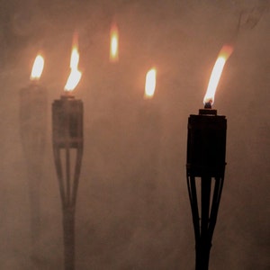 Torches like these