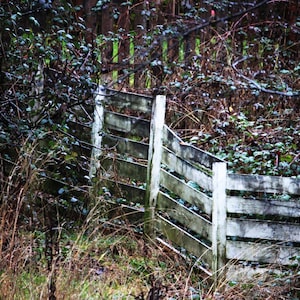 Fences