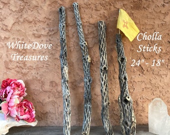 May include: Four brown cholla cactus sticks, ranging in size from 18 to 24 inches, are arranged on a wooden surface. A small yellow flag with a symbol is in the background. The text "WhiteDove Treasures" and "Cholla Sticks 24" - 18" is visible in the image.