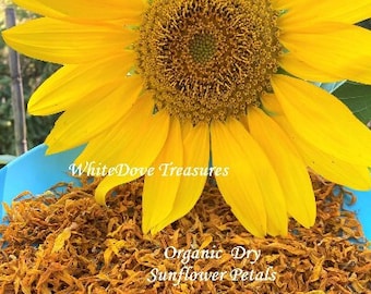 NEW ORGANIC Sunflower Petals, Home Grown Yellow Flower Solar Plexus Chakra Creations Candle Bath Soak Body Lotion Altar Herb Faery Magick