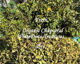 May include: Image of fresh and dry organic chaparral. The fresh chaparral is a vibrant green with small leaves and stems. The dry chaparral is a muted green color. Text on the image reads "Fresh Organic Chaparral WhiteDove Treasures Dry".