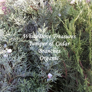 May include: A close-up of a bundle of green juniper and cedar branches. The branches are organic and are labeled "White Dove Treasures Juniper & Cedar Branches Organic".