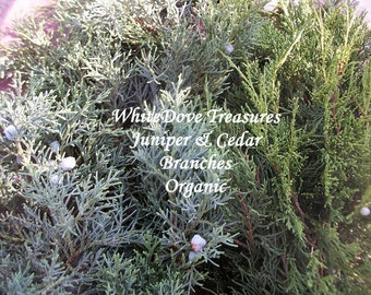 CEDAR Branches JUNIPER Branches 1 lb+, Bulk Cedar Smudge Organic Fresh Natural, Wreath Craft Making, Sweat Lodge Cedar, Patio Decor