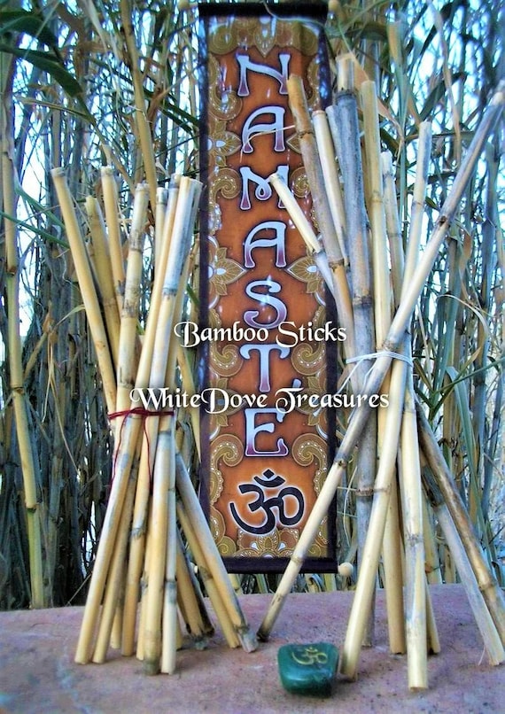 Bamboo Plant Support Garden Bamboo Flower Sticks - China Bamboo Stick for  Flower and Bamboo Stick for Plant price